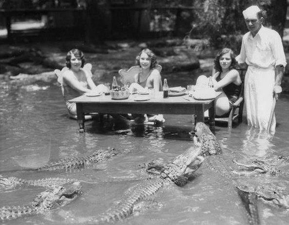 Ферма аллигаторов. Лос - Анджелес 1920 г