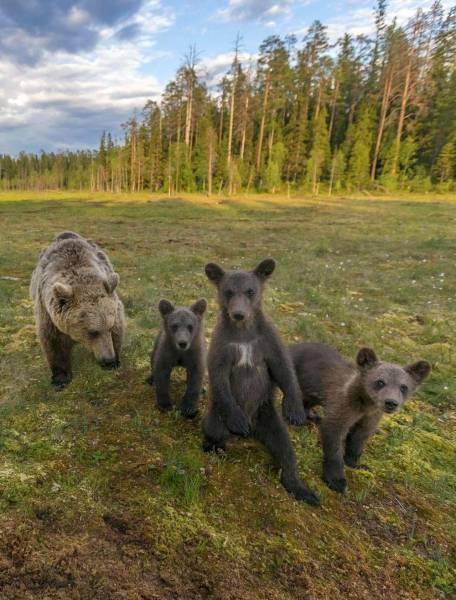 Фото приколы дня