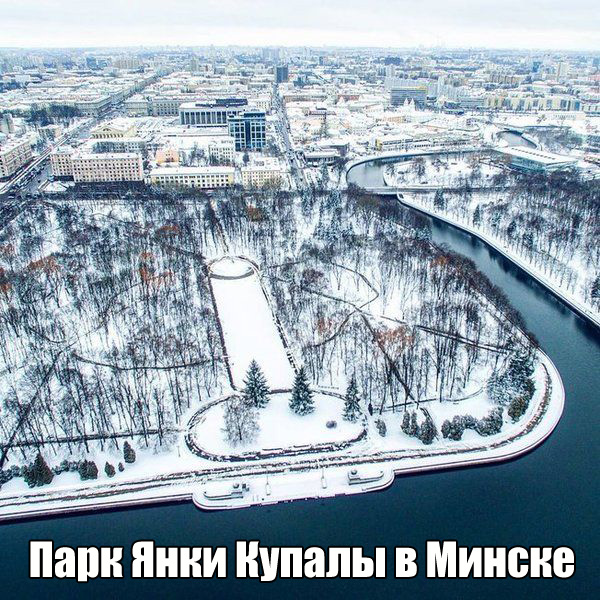 Фото приколы дня