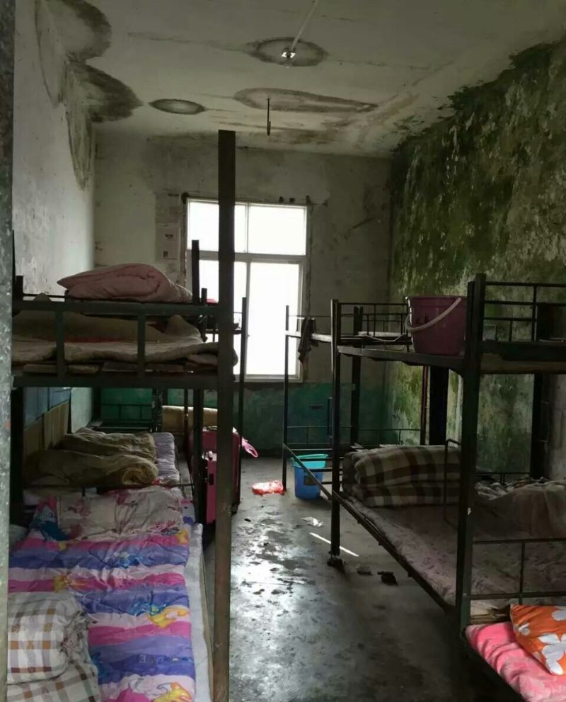 Суровые условия жизни китайских студентов