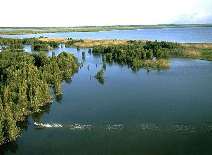 Фото приколы дня