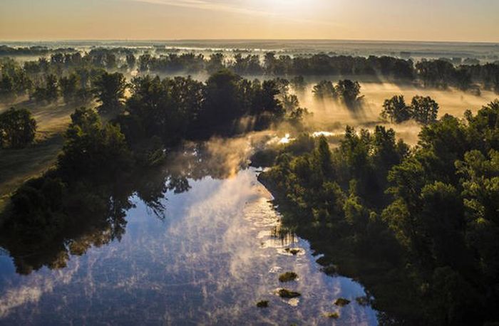 Фото приколы дня