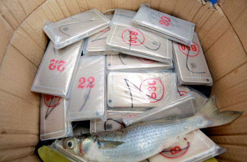 Китайские таможенники изъяли у рыбаков очень крупный улов