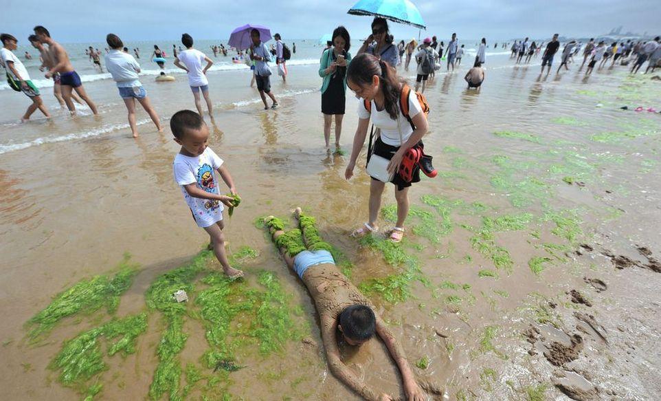 Тонны водорослей не мешают китайцам отдыхать