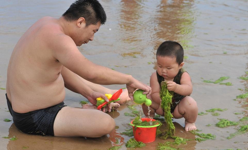 Тонны водорослей не мешают китайцам отдыхать