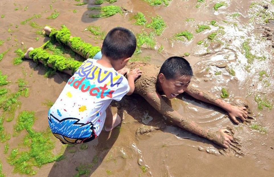 Тонны водорослей не мешают китайцам отдыхать