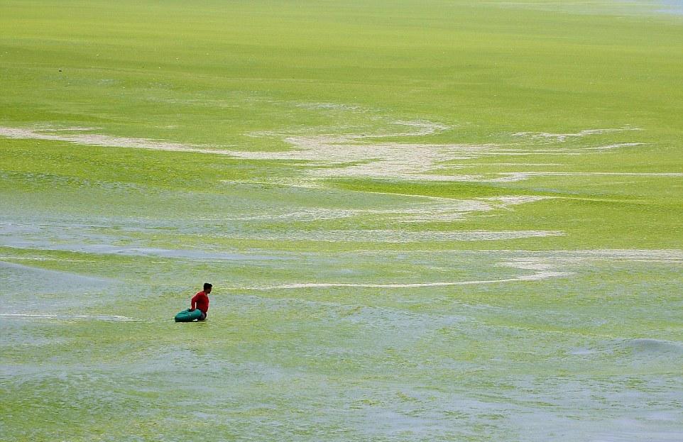 Тонны водорослей не мешают китайцам отдыхать