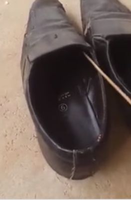В тропических странах стоит всегда проверять туфли прежде, чем обуваться