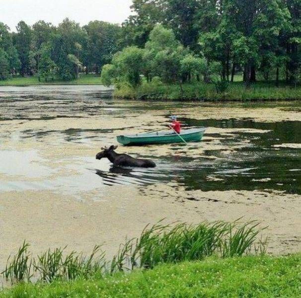 Фото приколы дня