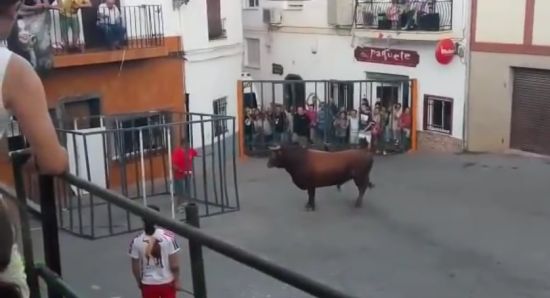 Не стоит выеживаться перед быком