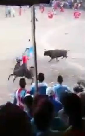 В Колумбии бык "прокатил" участника энсьерро