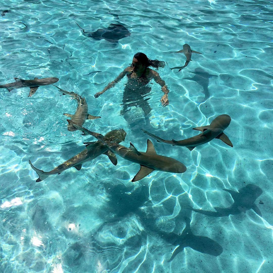 «Королева скатов»: обнаженная девушка плавает среди смертоносных рыб
