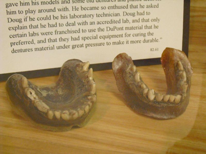 Зубные протезы из плавленной зубной щетки и клыков дохлого койота