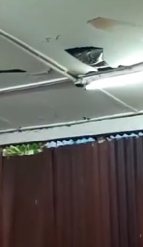 В Китае большую змею вытянули из потолка ресторана
