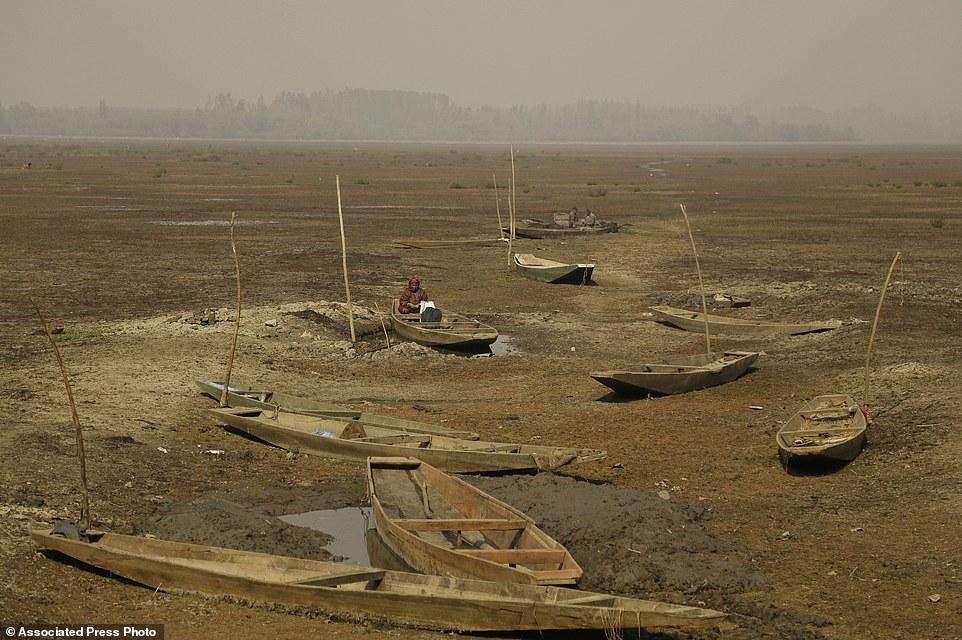 Одно из крупнейших пресноводных озер Азии превратилось в вонючее болото