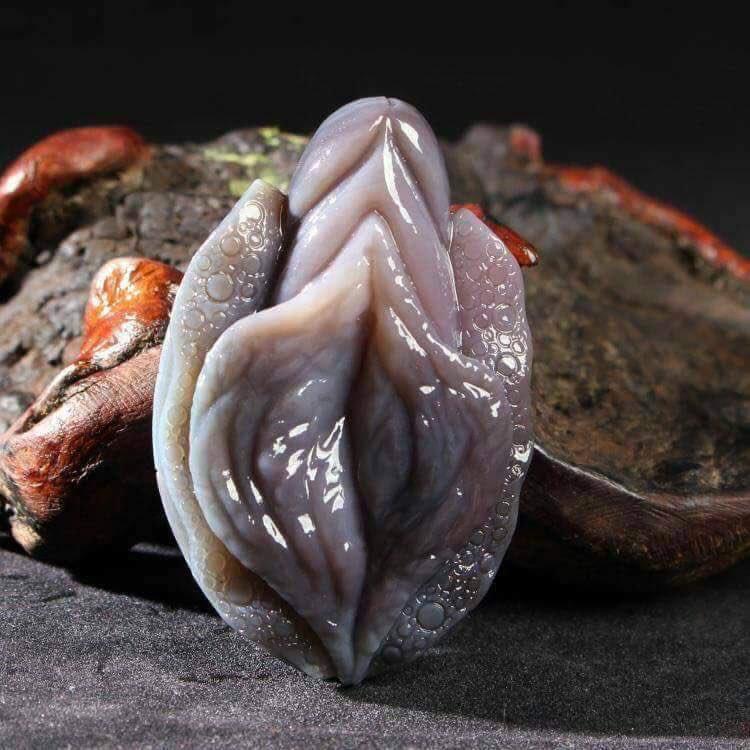 На что похожи моллюски?