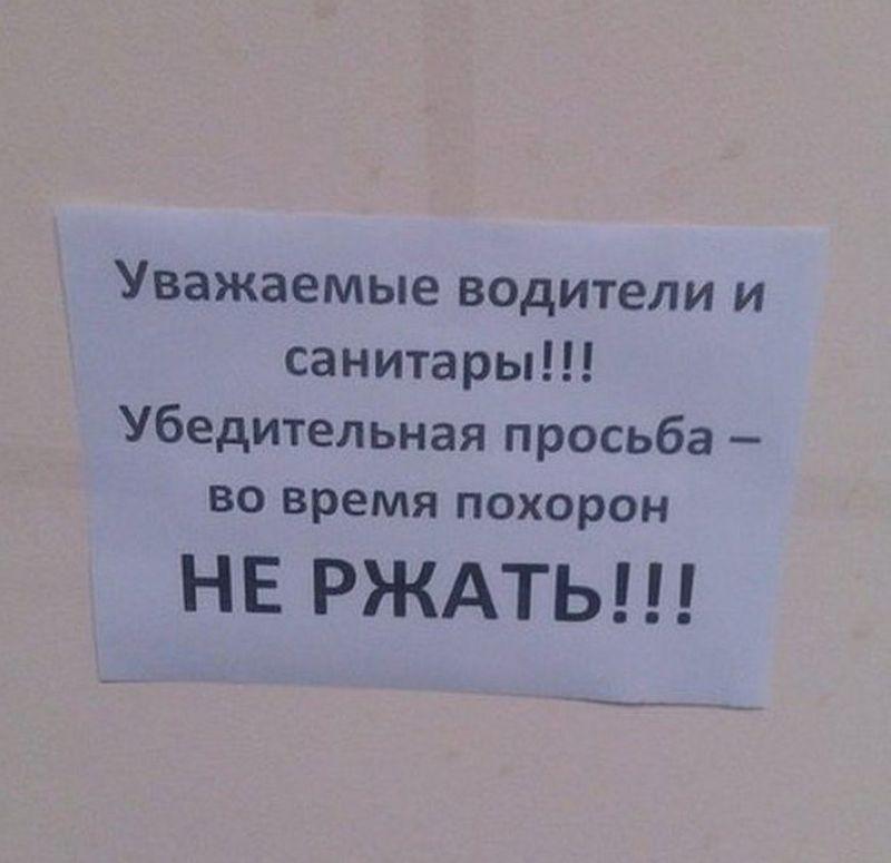 По родным просторам