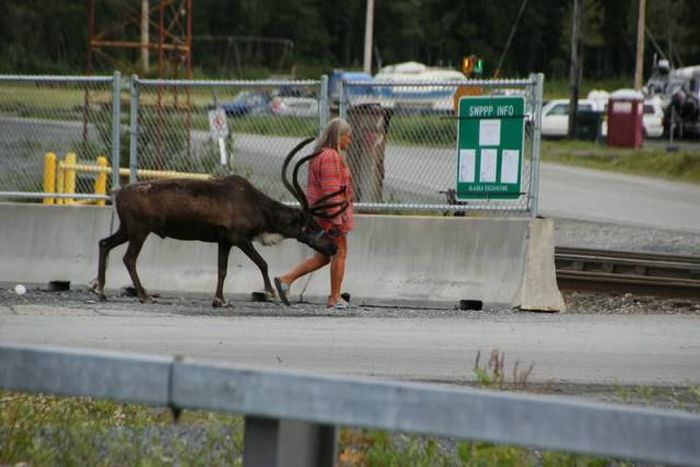 Фото приколы дня