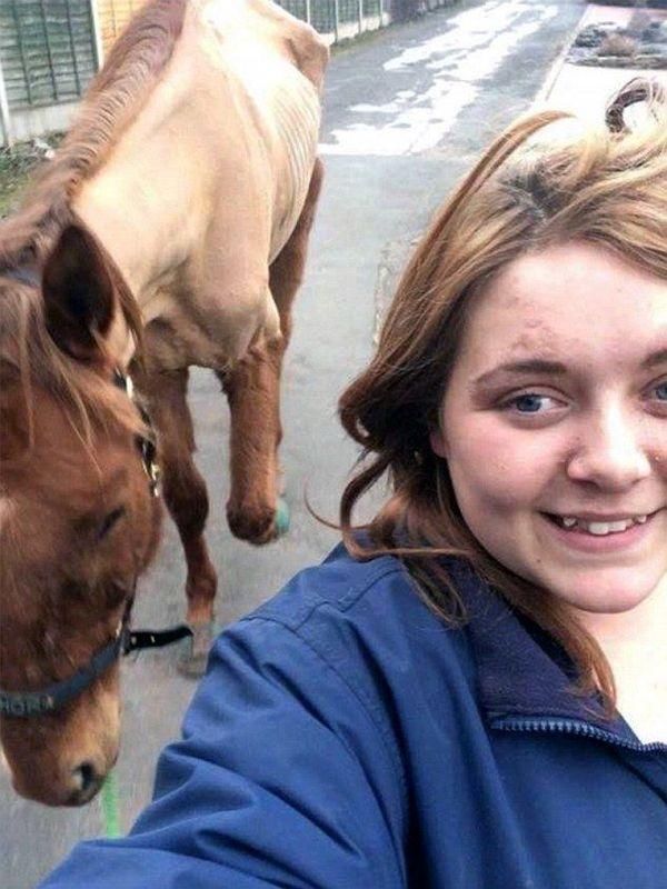 Жительницу Великобритании затравили в соцсетях за издевательства над лошадью