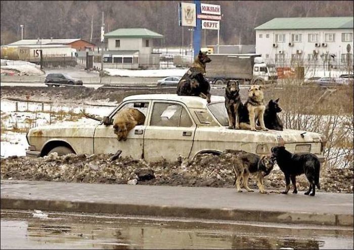 Фото приколы дня