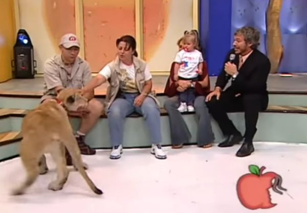 Лев напал на ребенка в прямом эфире телешоу