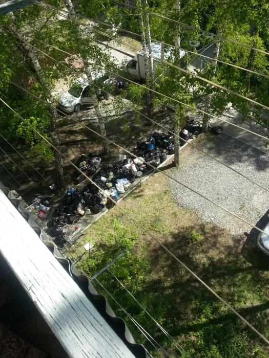 Женщина два года собирала мусор и завалила квартиру до потолка