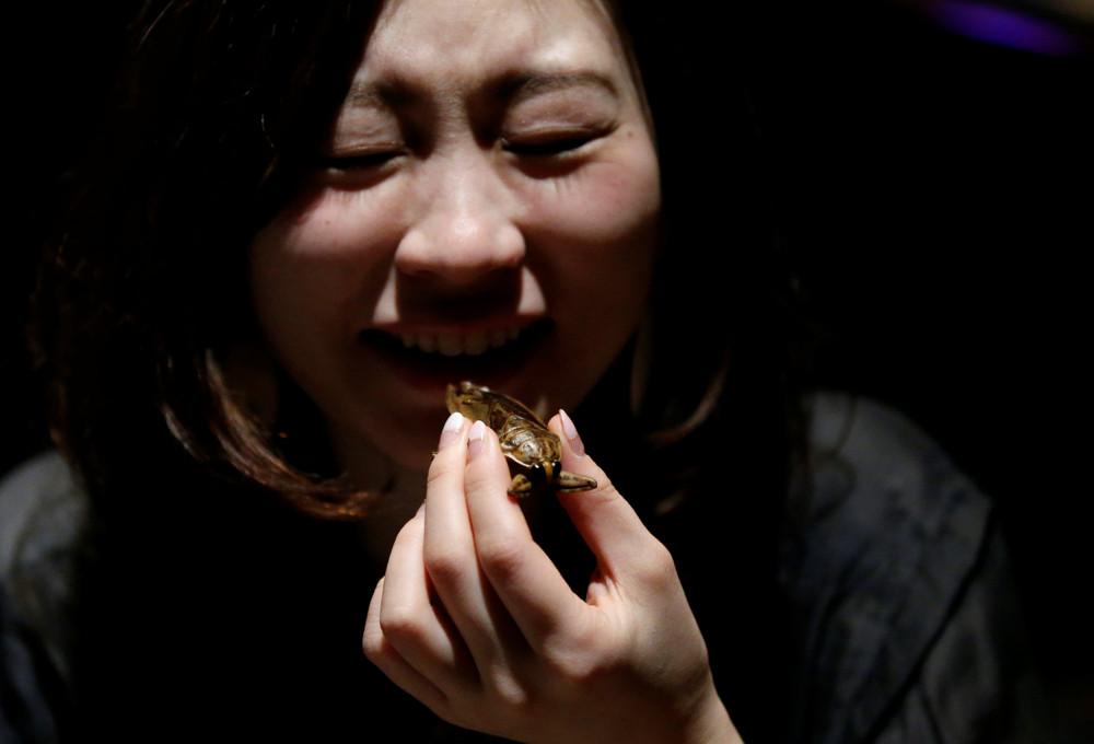 В Токио на День Святого Валентина молодые японцы лакомились сладостями с насекомыми