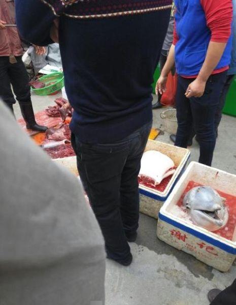 Китайские рыбаки разделали на мясо дельфиненка