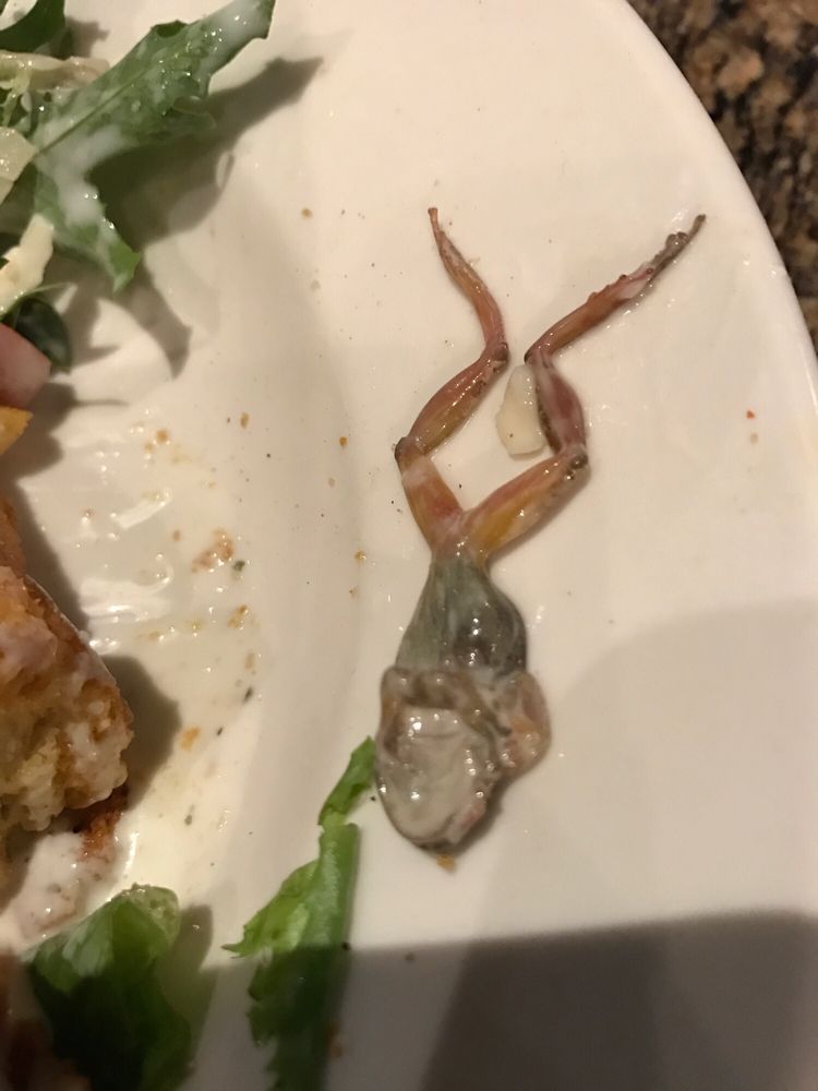 Дама в ресторане не сразу поняла, почему ее салат горчит