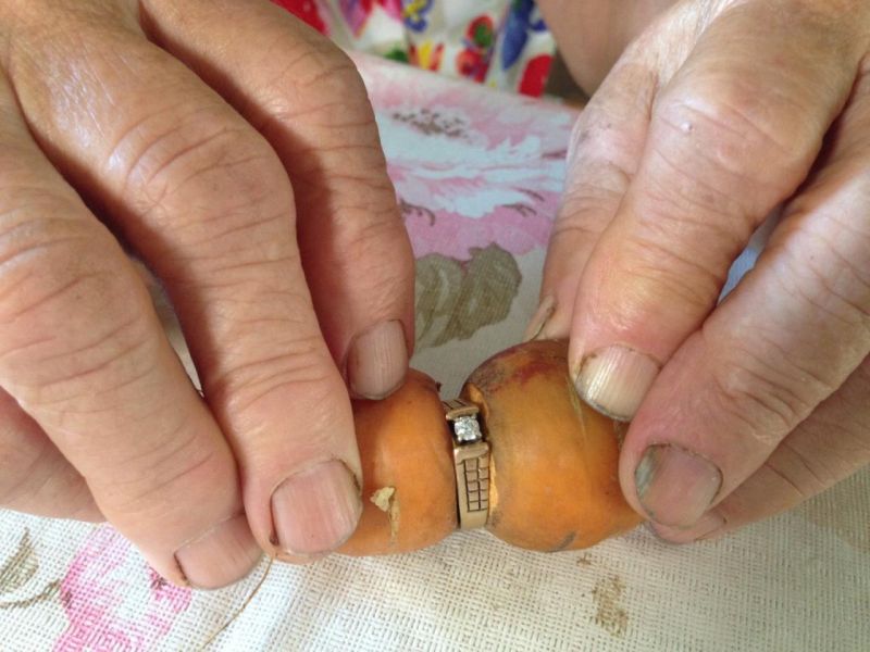 Канадка потеряла бриллиантовое кольцо и нашла его спустя 13 лет на морковке
