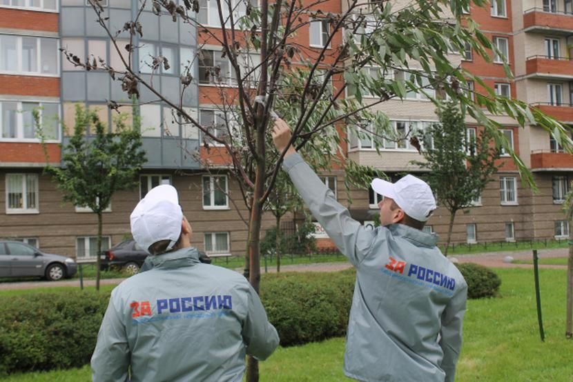 Питерские коммунальщики примотали скотчем ветки к мертвым деревьям, чтобы победить в конкурсе "Уютный сад"