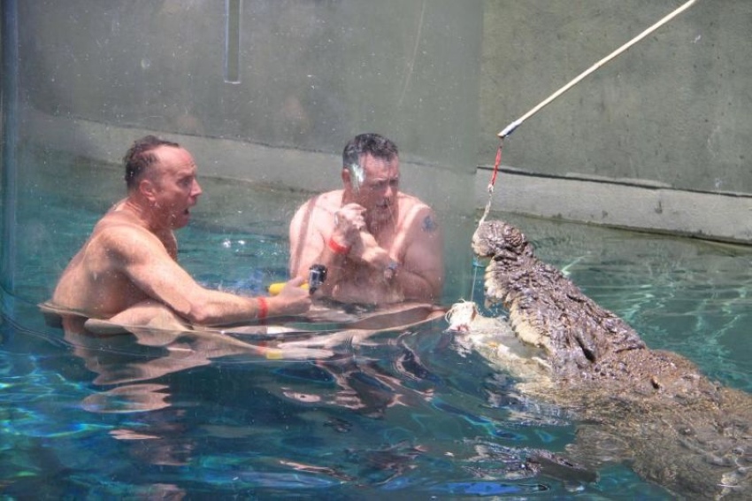 Туристы платят $150, чтобы поплавать рядом с крокодилами