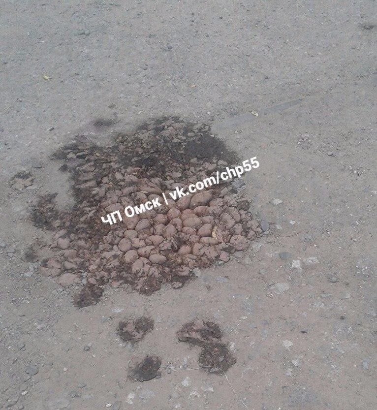 В Омске яму на дороге заделали картошкой