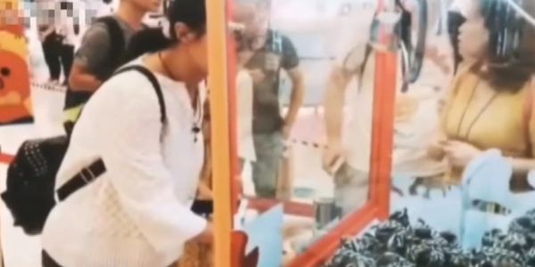 Животные внутри клетки и вне: китайцы в игровых автоматах продают живых крабов