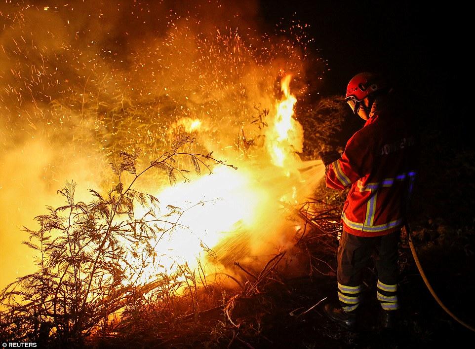 Разрушительные лесные пожары в Испании и Португалии