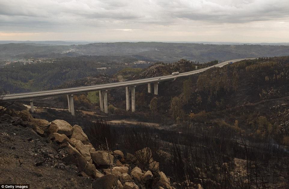 Разрушительные лесные пожары в Испании и Португалии