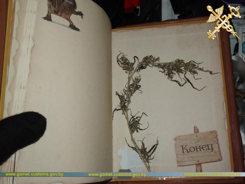 Служебная собака белорусских таможенников разнюхала что скрывает "Книга тайн"