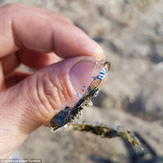 В Канаде поймали щуку, опоясанную пластиковым кольцом
