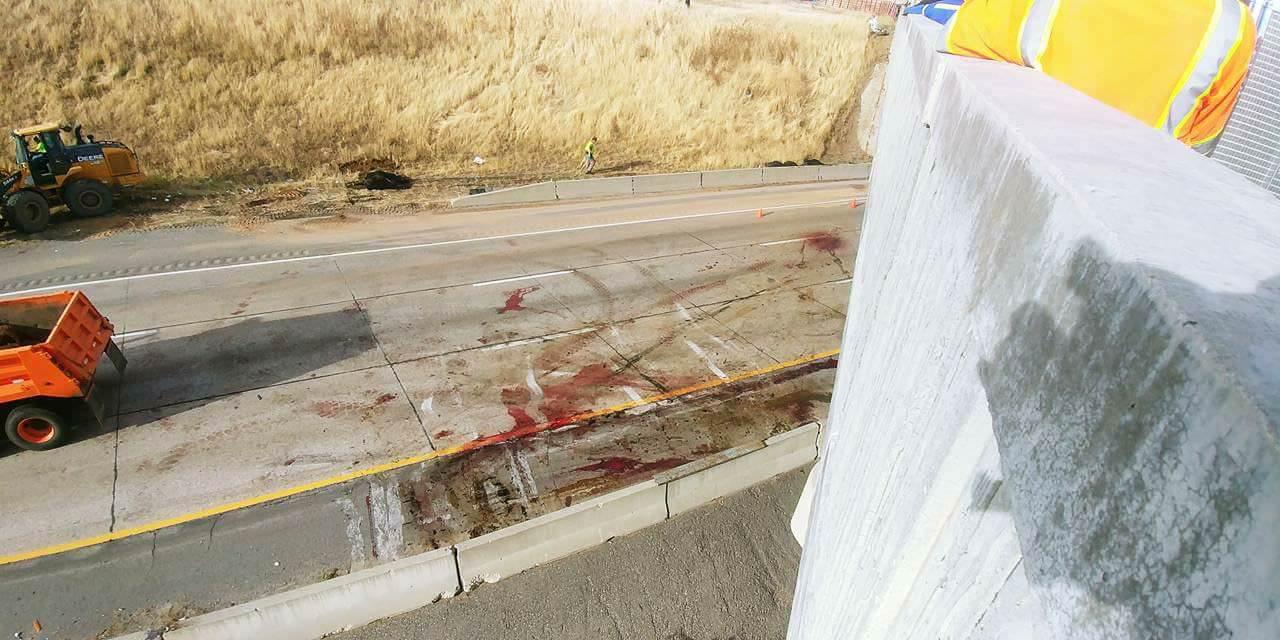 В Орегоне грузовик, перевозивший живой груз, попал в аварию