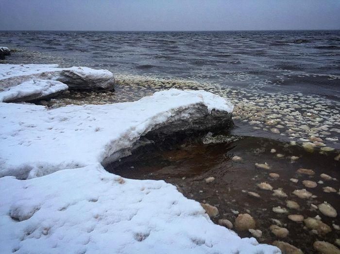Финский залив покрылся ледяными фрикадельками