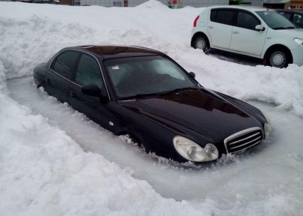 Пленники "внезапного" льда Пленники "внезапного" льда
