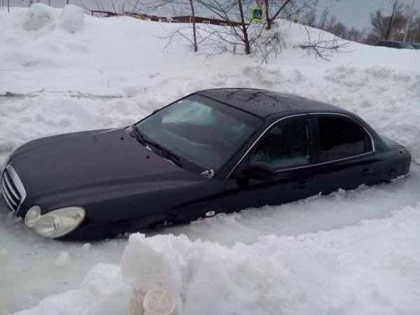 Пленники "внезапного" льда Пленники "внезапного" льда