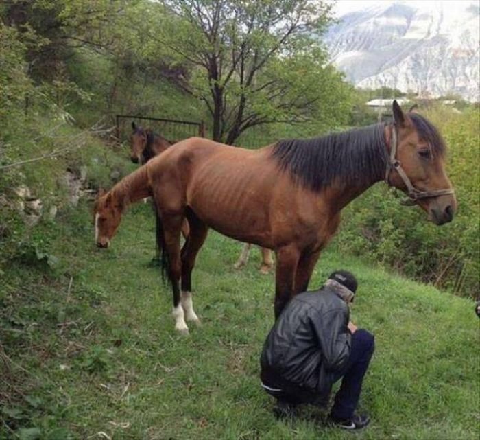 Фото, которые требуют внимания