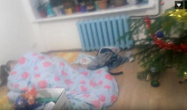 «Ирония судьбы» в реальной жизни: женщина обнаружила неизвестного парня, спящего под елкой