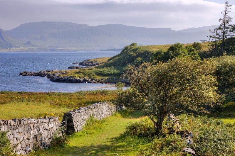 Вы можете купить этот 26-гектарный остров в Шотландии всего за 350 тысяч долларов