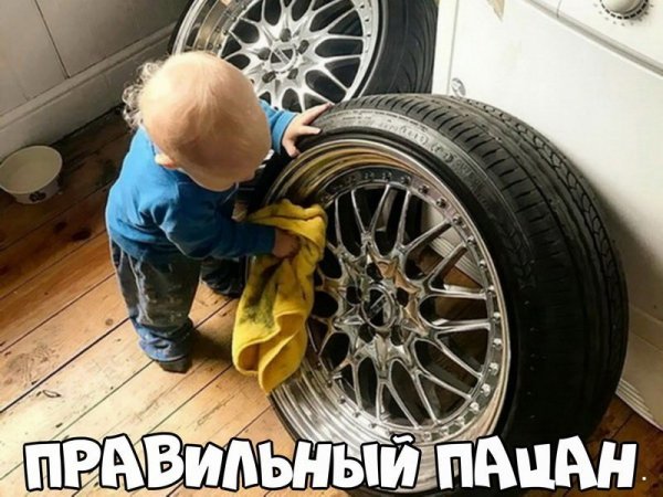 Автоприколы