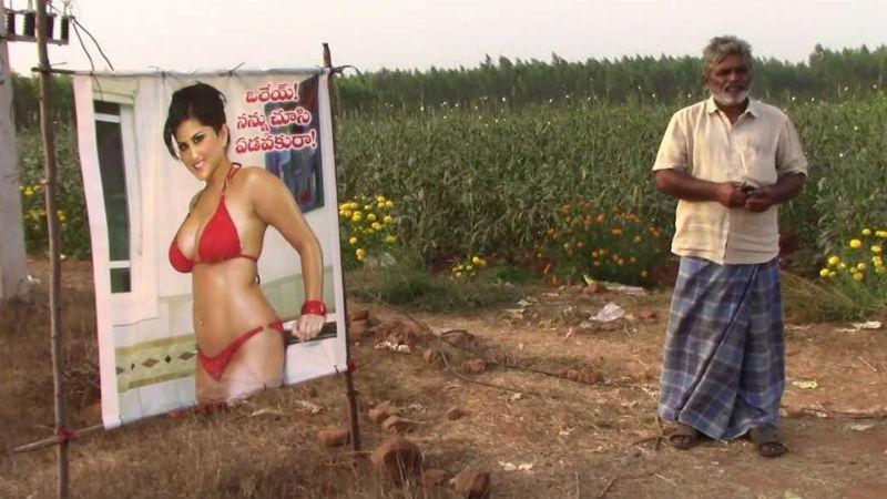 Индийский фермер установил на поле плакат с полуголой порнозвездой для защиты урожая. И это работает