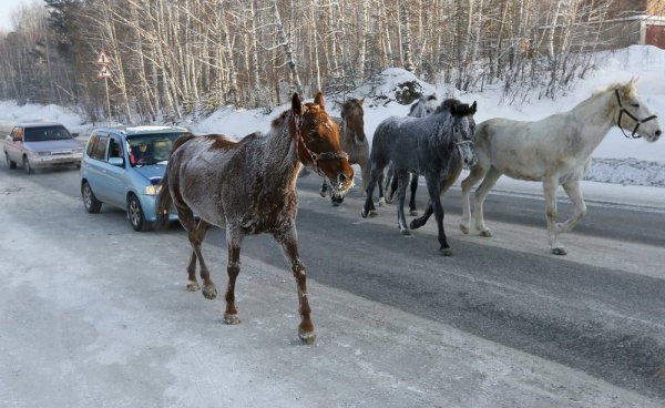 Подборка интересных фотографий из Сибири