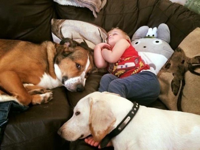 Дети и собаки - лучшие друзья