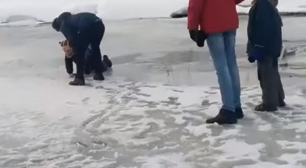 Подростки спасли провалившегося под лед ребенка в Томске